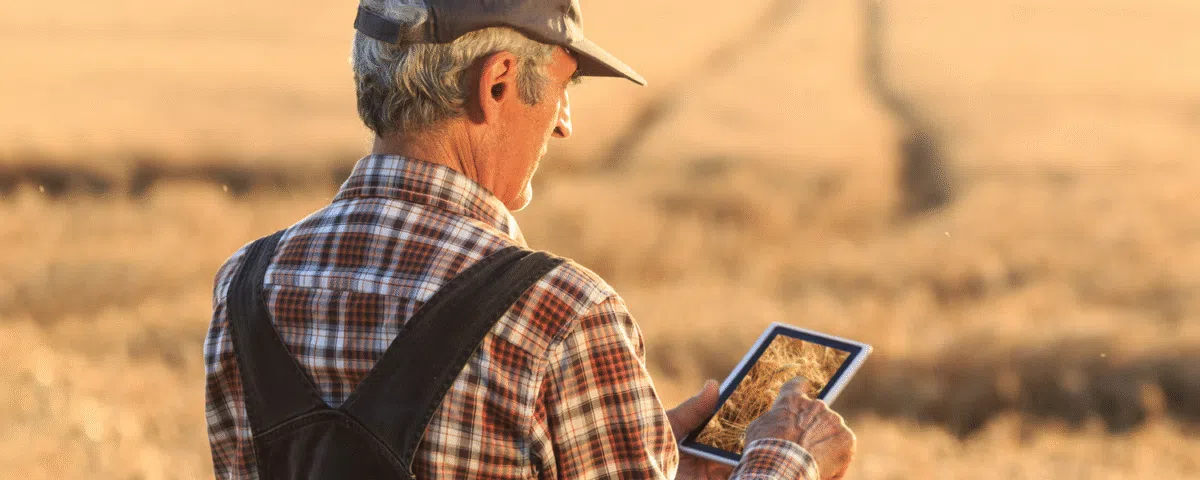 Al Dahra Syngenta partnership | Data is revolutionizing agriculture by enabling better decisions