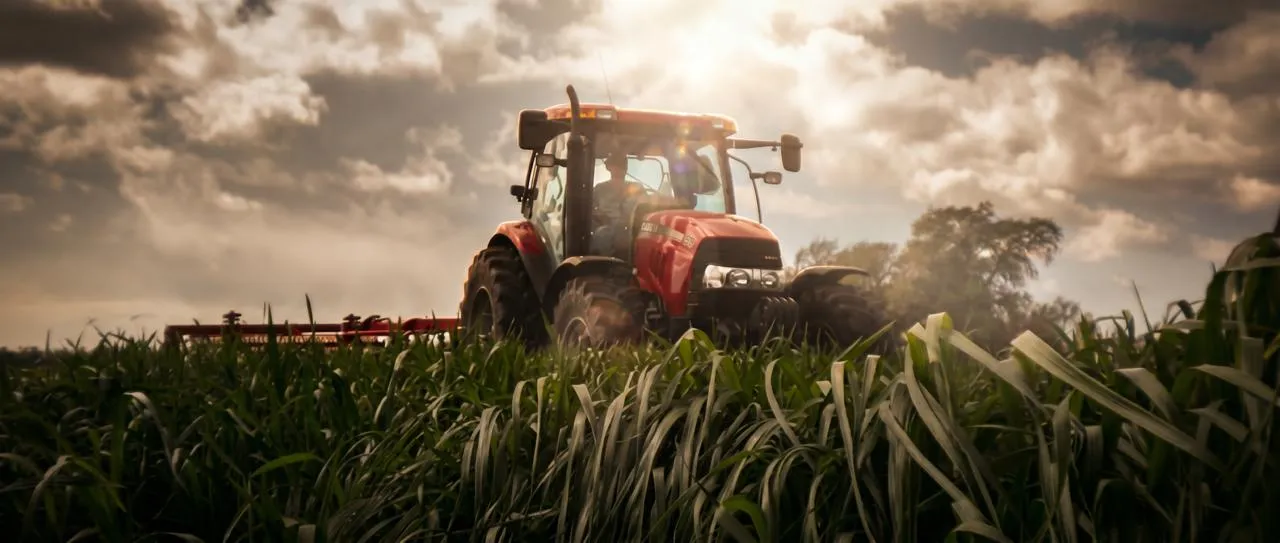 Corn Silage Nutritional Value